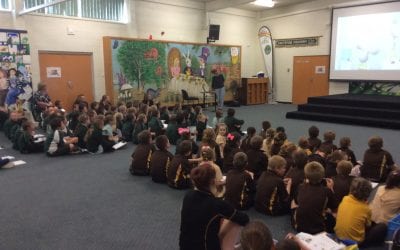 Circular Head Cluster Activities